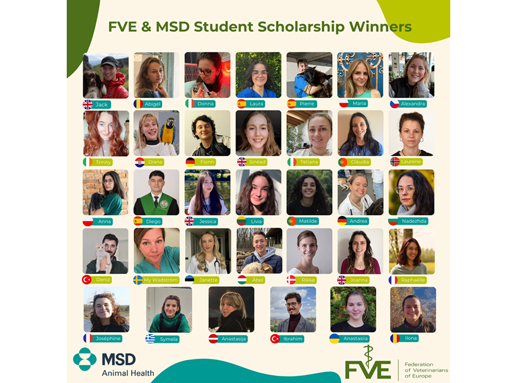 Gewinner des FVE & MSD Stipendiums Eine Collage mit Porträts der Gewinner des FVE & MSD Student Scholarship, versehen mit Namen und Nationalflaggen.