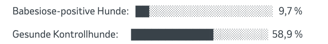 Balkendiagramm zum Vergleich von Babesiose-positiven und gesunden Hunden