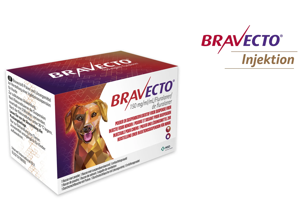 Verpackung für Bravecto Injektion mit stilisiertem Hund, geometrischen Mustern und mehrsprachigem Text