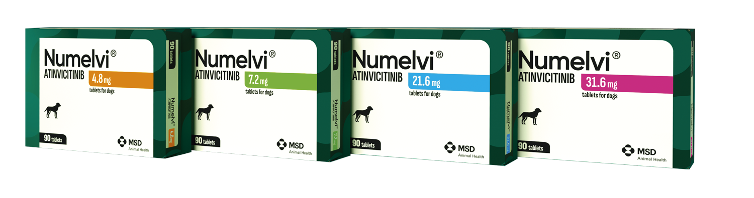 Numelvi Atinivictinib Hundetabletten Vier Numelvi Atinivictinib-Tablettenpackungen für Hunde mit unterschiedlichen Dosierungen
