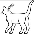 Anwendungsschema Spot-on Katze Schwarz-weiße Illustration einer Katze, die eine Spot-on-Behandlung im Nacken erhält.