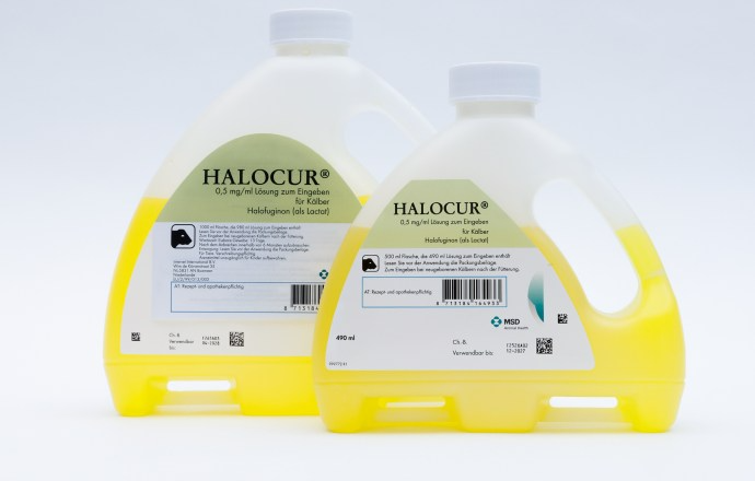 HALOCUR® Pharmazeutikum von MSD Animal Health in Originalverpackung mit Applikationsflasche und Umkarton, beschriftet mit Produktname, Wirkstoffangaben und Herstellerinformationen.
