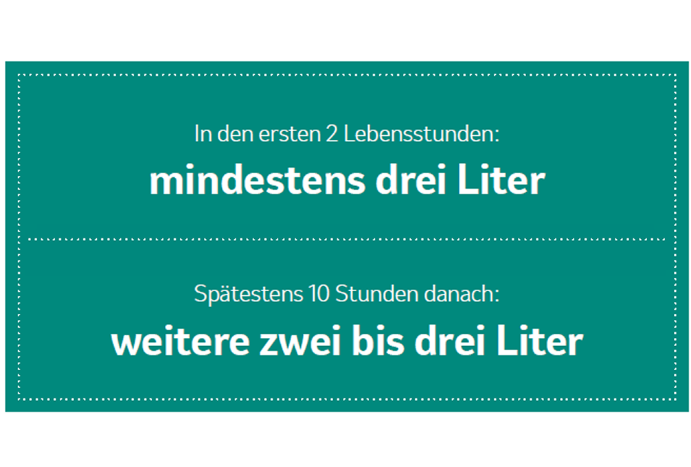 Fütterungsempfehlung Kalb Deutscher Text auf türkisfarbenem Hintergrund: Oben „In den ersten 2 Lebensstunden: mindestens drei Liter“, unten „Spätestens 10 Stunden danach: weitere zwei bis drei Liter“
