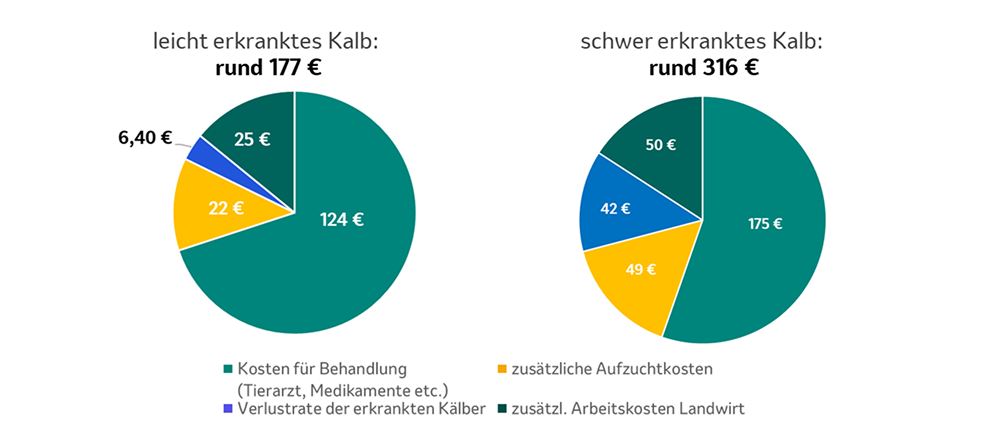 Kostenvergleich Kälber Zwei Kreisdiagramme vergleichen Kosten für leicht und schwer erkrankte Kälber; Ausgaben für Behandlung, zusätzliche Aufzucht, Kälberverlust und Mehrarbeit farblich dargestellt
