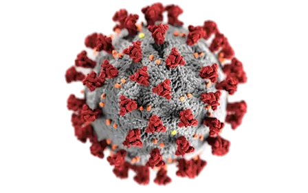 Coronavirus 3D 3D-Illustration des Coronavirus mit kugelförmiger grauer Oberfläche und markanten roten Spike-Proteinen auf schwarzem Hintergrund, symbolisiert Ansteckung
