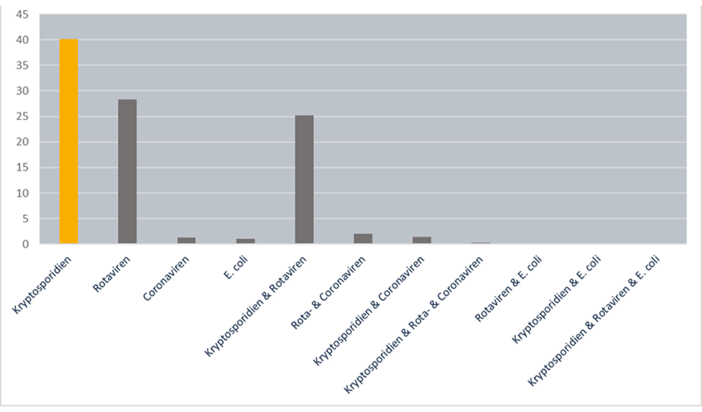 Infektionstypen Diagramm Balkendiagramm zeigt Infektionstypen; Kryptosporidien in Orange mit 40 Fällen, andere in Grau unter 40; x-Achsenbeschriftung vertikal