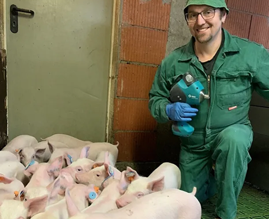 Nadellose Impfung von Ferkeln Ein Landwirt in grüner Arbeitskleidung kniet lächelnd neben einer Gruppe Ferkel und hält ein blaues IDAL-Impfgerät.