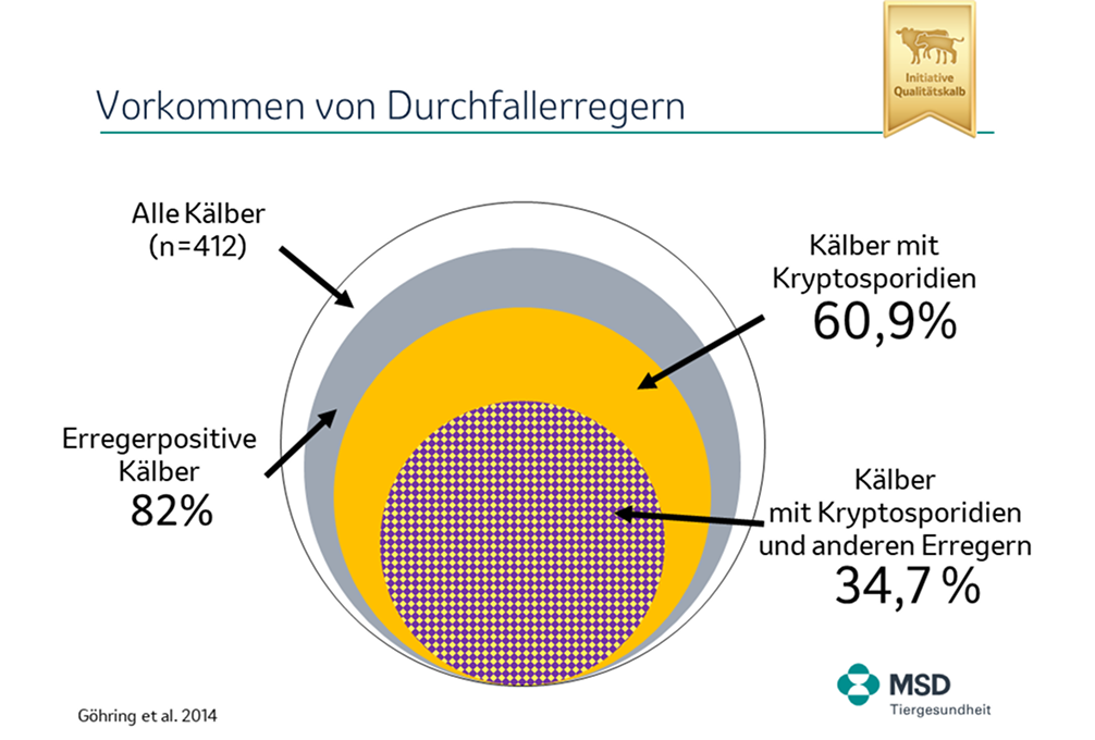 Durchfallerreger Prävalenz Diagramm zur Prävalenz von Durchfallerregern bei Kälbern mit drei konzentrischen Kreisen: 412 Kälber gesamt, 82 % Erreger-positiv, 60,9 % mit Kryptosporidien, 34,7 % mit Kryptosporidien plus weiteren Erregern