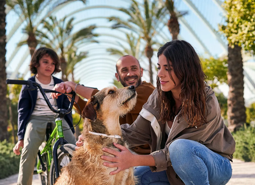 Frau streichelt einen Hund, während ein Mann und ein Kind mit einem Fahrrad dahinter auf einem von Palmen gesäumten Gehweg stehen.