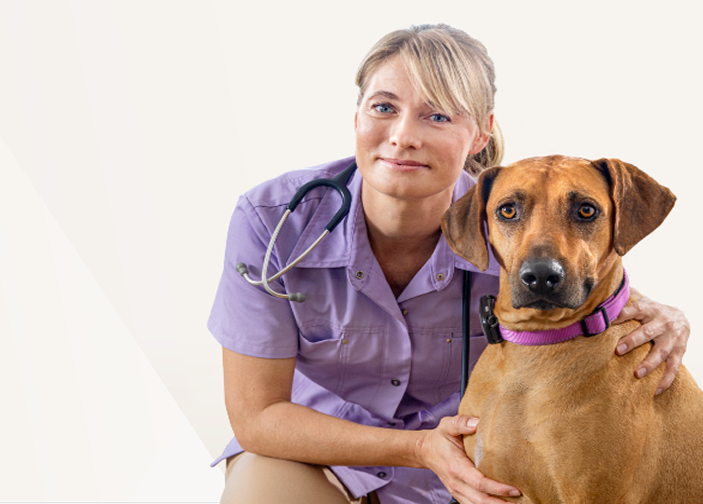 Tierärztin sitzt neben ihrem Hund