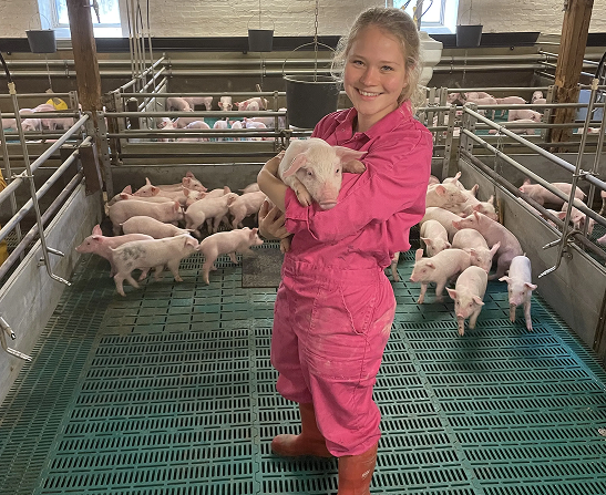 Moderne Schweinezucht und Tierpflege Lächelnde junge Frau in einem pinkfarbenen Overall hält ein Ferkel im Arm; im Hintergrund weitere Ferkel in einem modernen Stall.