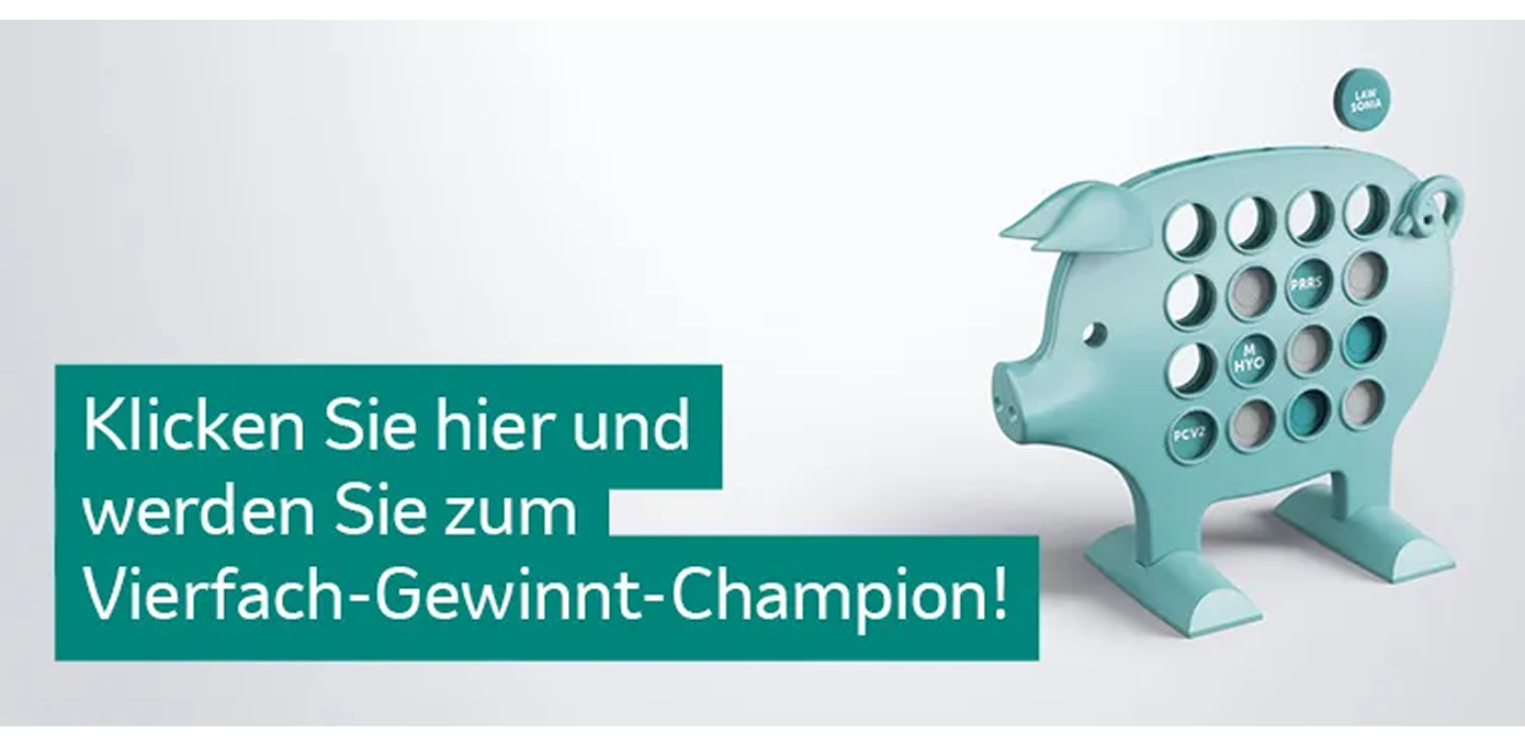 Spielzeugschwein mit Löchern, ähnlich wie Vier gewinnt, mit deutschem Text auf türkisfarbenem Banner: „Klicken Sie hier und werden Sie zum Vierfach-Gewinnt-Champion!“, verspielter Ton