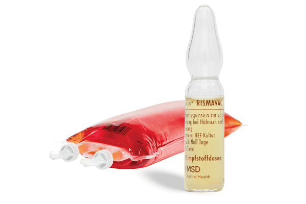NOBILIS® RISMAVAC – Impfstoff, Verpackung und Flasche von MSD Animal Health