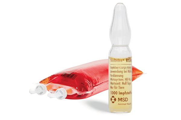 NOBILIS® RISMAVAC + CA126 – Impfstoff, Verpackung und Flasche von MSD Animal Health