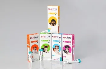 Bravecto® Lösung zum Auftropfen auf die Haut für Hunde