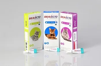 Drei Bravecto-Katzenboxen in Gelb, Blau und Lila mit Katzenmotiven.