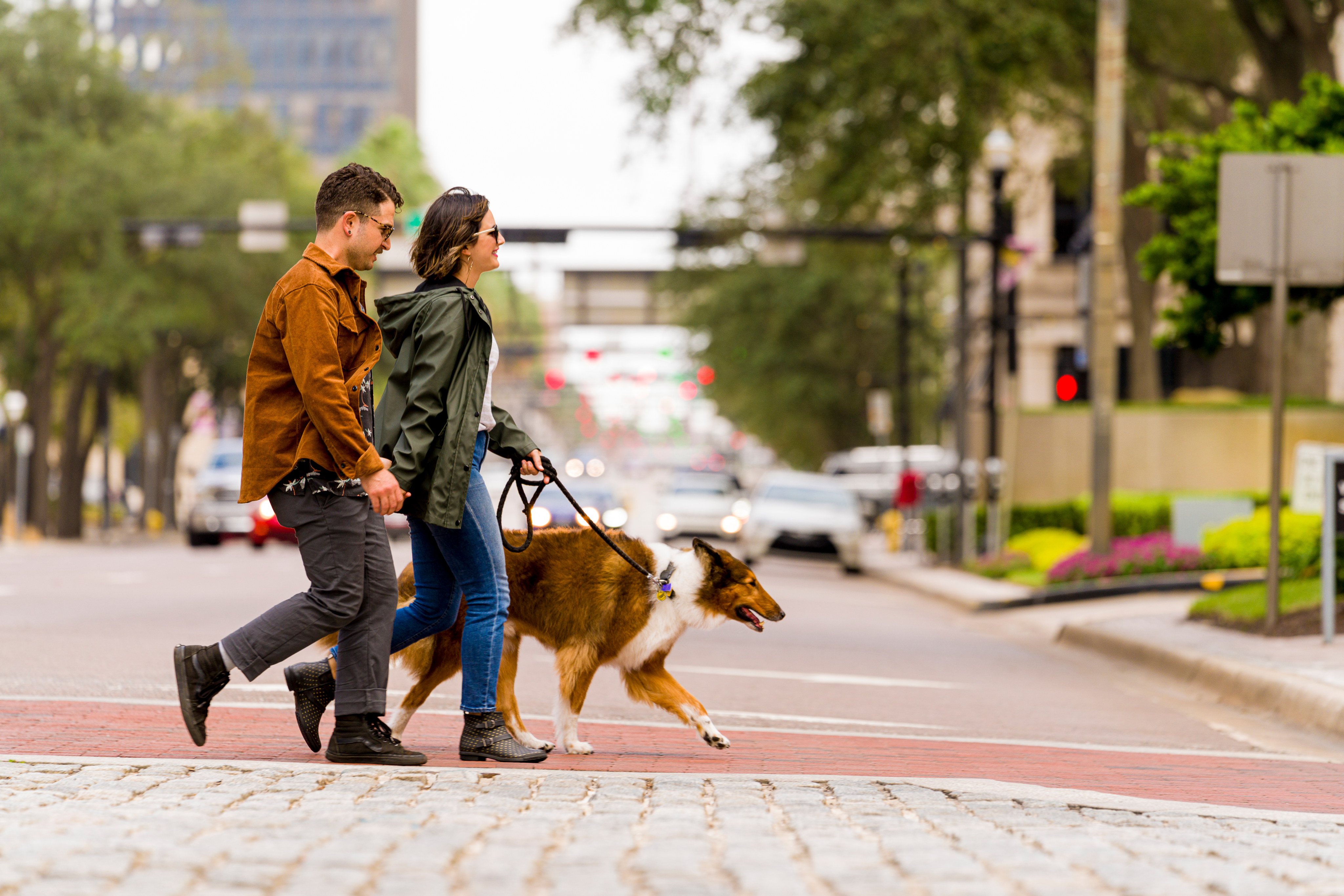 Ein Paar geht mit einem Collie an der Leine über einen Zebrastreifen in einer Stadt.