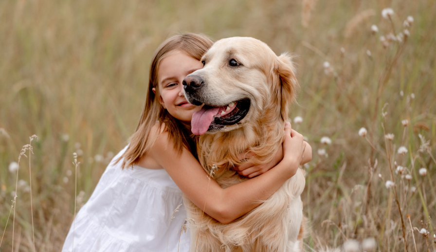 Junges Mädchen umarmt einen Golden Retriever auf einer Wiese