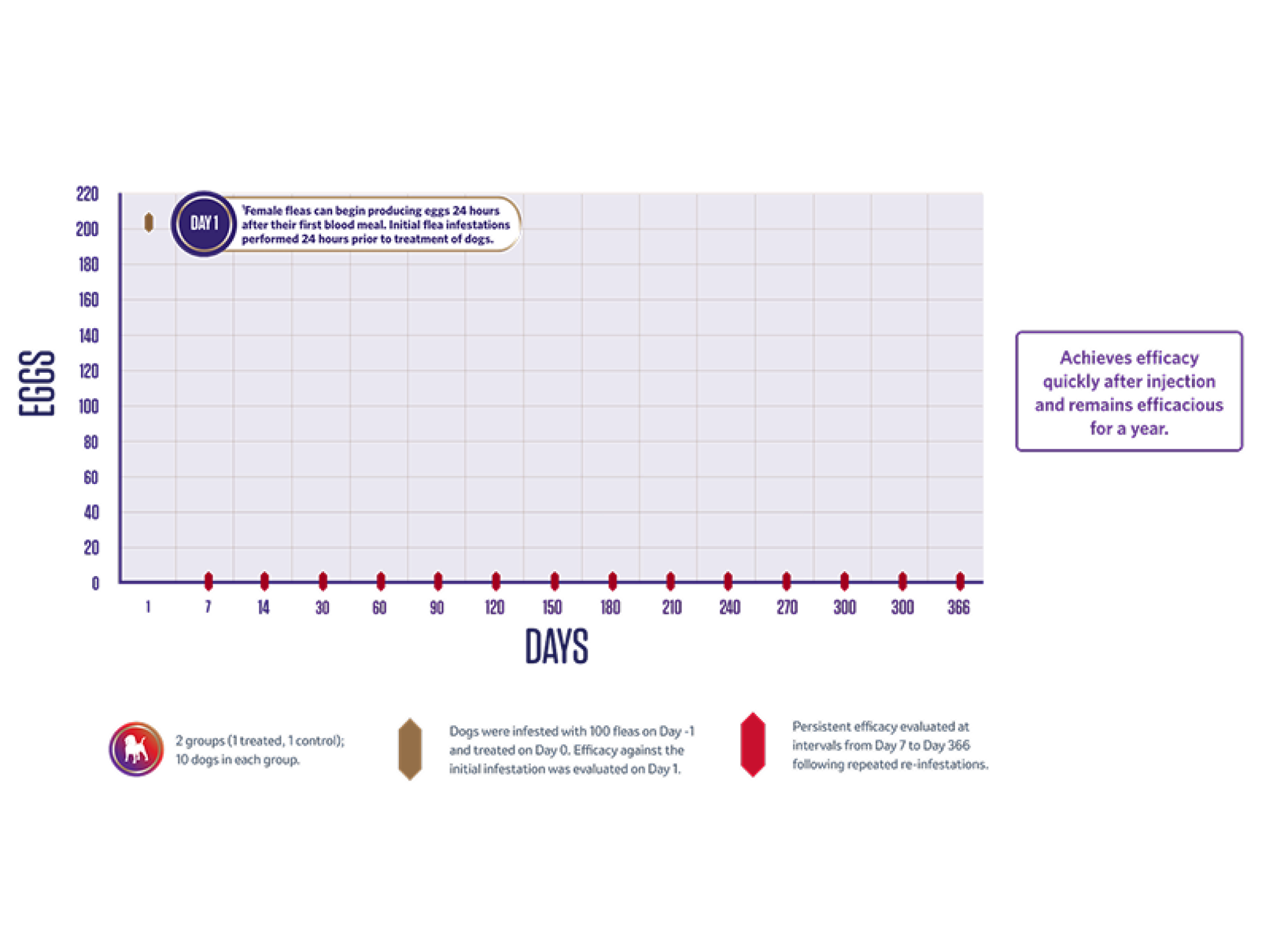 Diagramm, das die Wirksamkeit von Bravecto Injectable gegen C felis für die Eierproduktion zeigt.