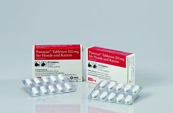 Panacur® Tabletten 250 mg für Hunde und Katzen Veterinärprodukt von MSD Animal Health