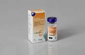 Porcilis® Lawsonia Impfstoff Porcilis® Lawsonia Veterinärprodukt von MSD Animal Health