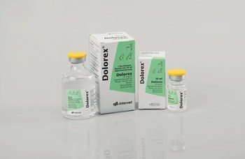 DOLOREX – Tierarzneimittel von MSD Animal Health. Abgebildet ist die Produktverpackung mit hervorgehobenem Produktnamen, Angaben zur schmerzlindernden Anwendung sowie einer klar strukturierten, medizinisch gestalteten pharmazeutischen Verpackung.