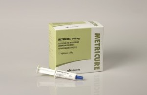 METRICURE Pharmazeutikum von MSD Animal Health in Originalverpackung mit Applikator und Umkarton, beschriftet mit Produktname, Wirkstoffangaben und Herstellerinformationen.