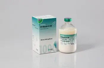 NOBILIS® RT + IBmulti + G + ND