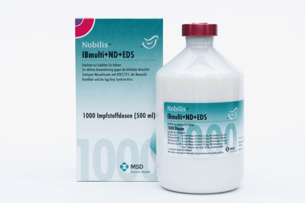 NOBILIS® IBmulti + ND + EDS
