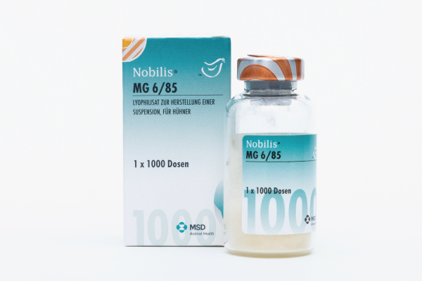 NOBILIS® MG 6/85