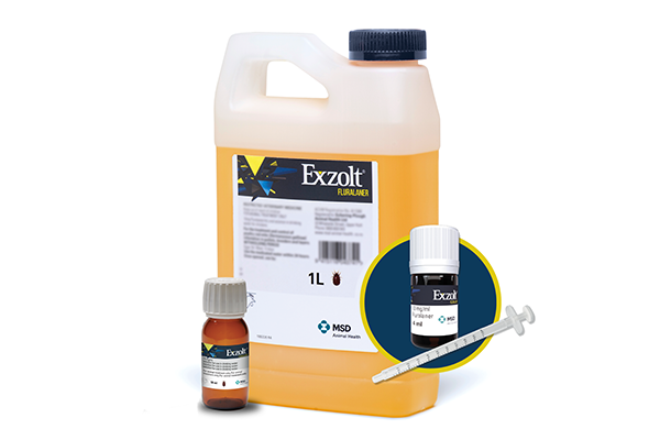 Verpackung des Tierarzneimittels EXZOLT® orale Lösung (Antiparasitikum) von MSD Animal Health mit klar gestaltetem Design, Produktname, Darreichungsform und Herstellerlogo auf der Vorderseite.