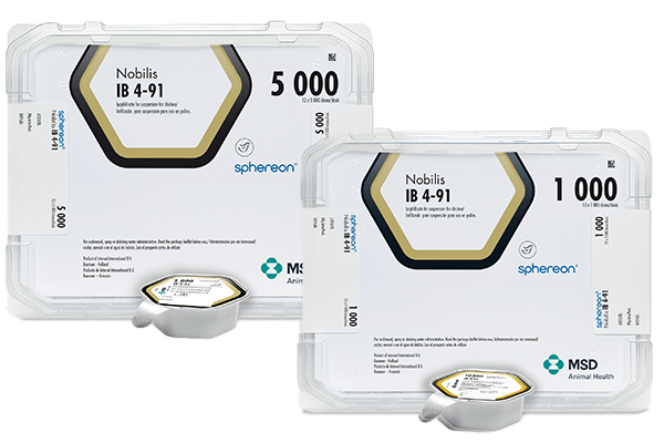 NOBILIS® IB 4-91 – Impfstoff, Verpackung und Flasche von MSD Animal Health