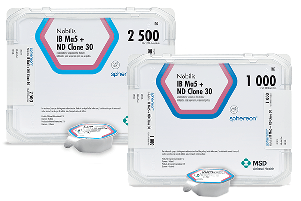 NOBILIS® Ma5 + Clone 30 – Impfstoff, Verpackung und Flasche von MSD Animal Health