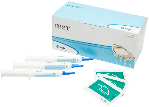 CEFA-SAFE-Box mit drei Spritzen und zwei sterilen Tüchern mit blauen Akzenten.