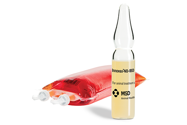 INNOVAX®‑ND‑IBD