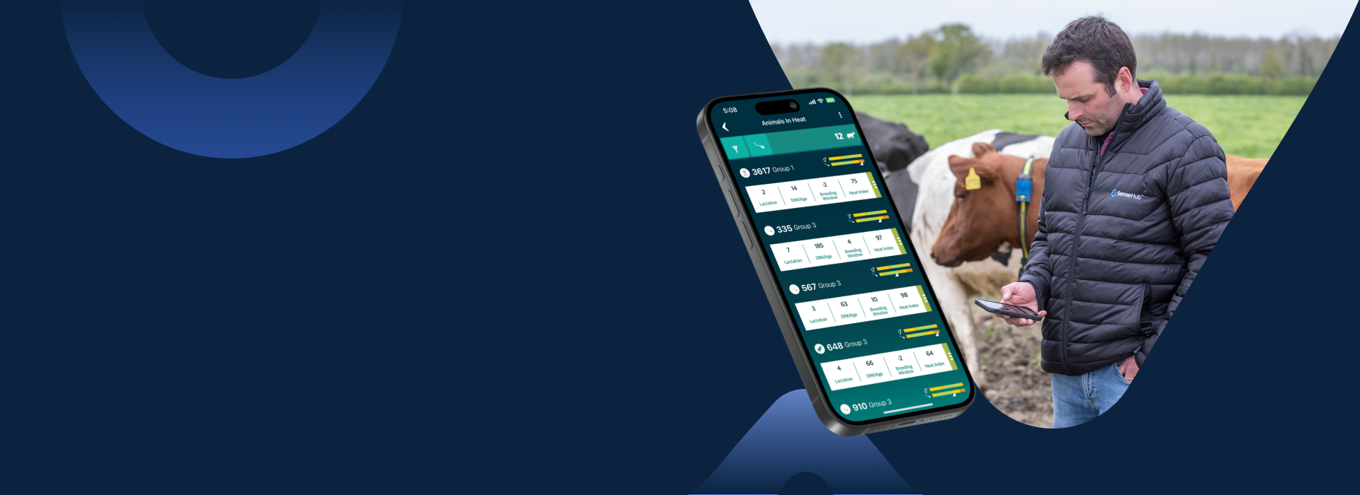 Monitoring von mutterkuehen