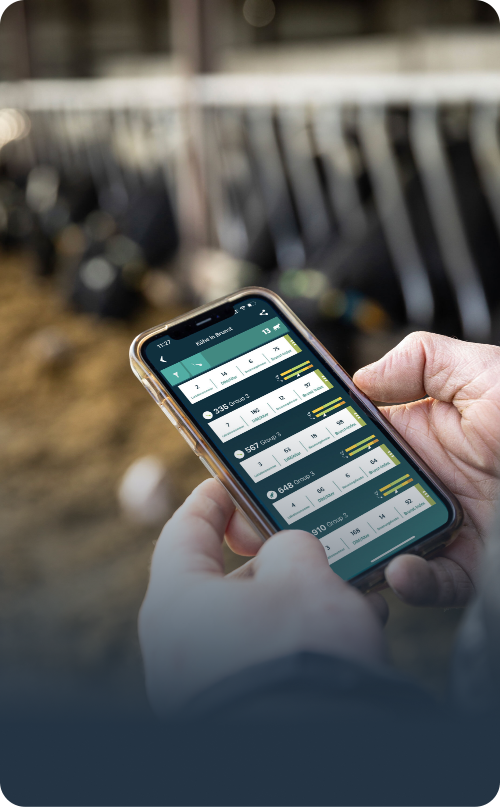 Smartphone mit SenseHub App im Rinderstall