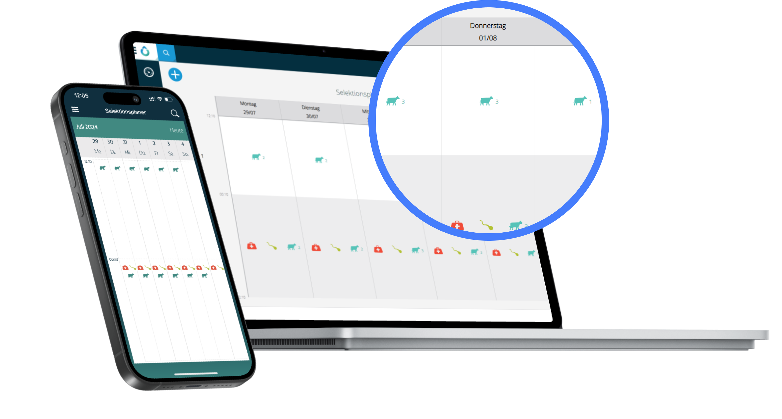 Digitaler Selektionsplaner Laptop und Smartphone mit einer Kalenderansicht für die Selektionsplanung in der Viehhaltung, inklusive einer Lupenansicht für Details.
