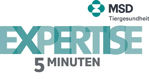 Expertise 5 minuten Maerz