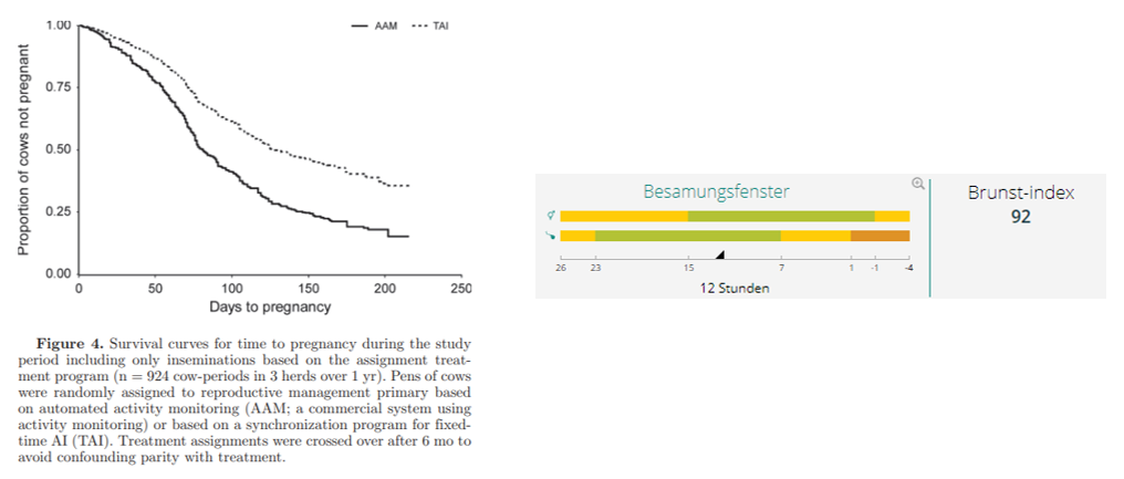 Ein Kombinationsbild mit einer Überlebenskurve zur Trächtigkeitsdauer bei Kühen (AAM vs. TAI) und einer Anzeige zum optimalen Besamungsfenster mit Brunst-Index.