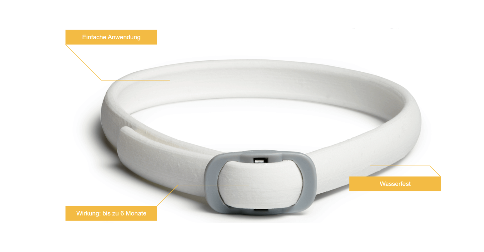 Produktmerkmale des Schutzhalsbands Weißes Schutzhalsband mit grauer Schnalle und gelben Informationstexten auf weißem Hintergrund.