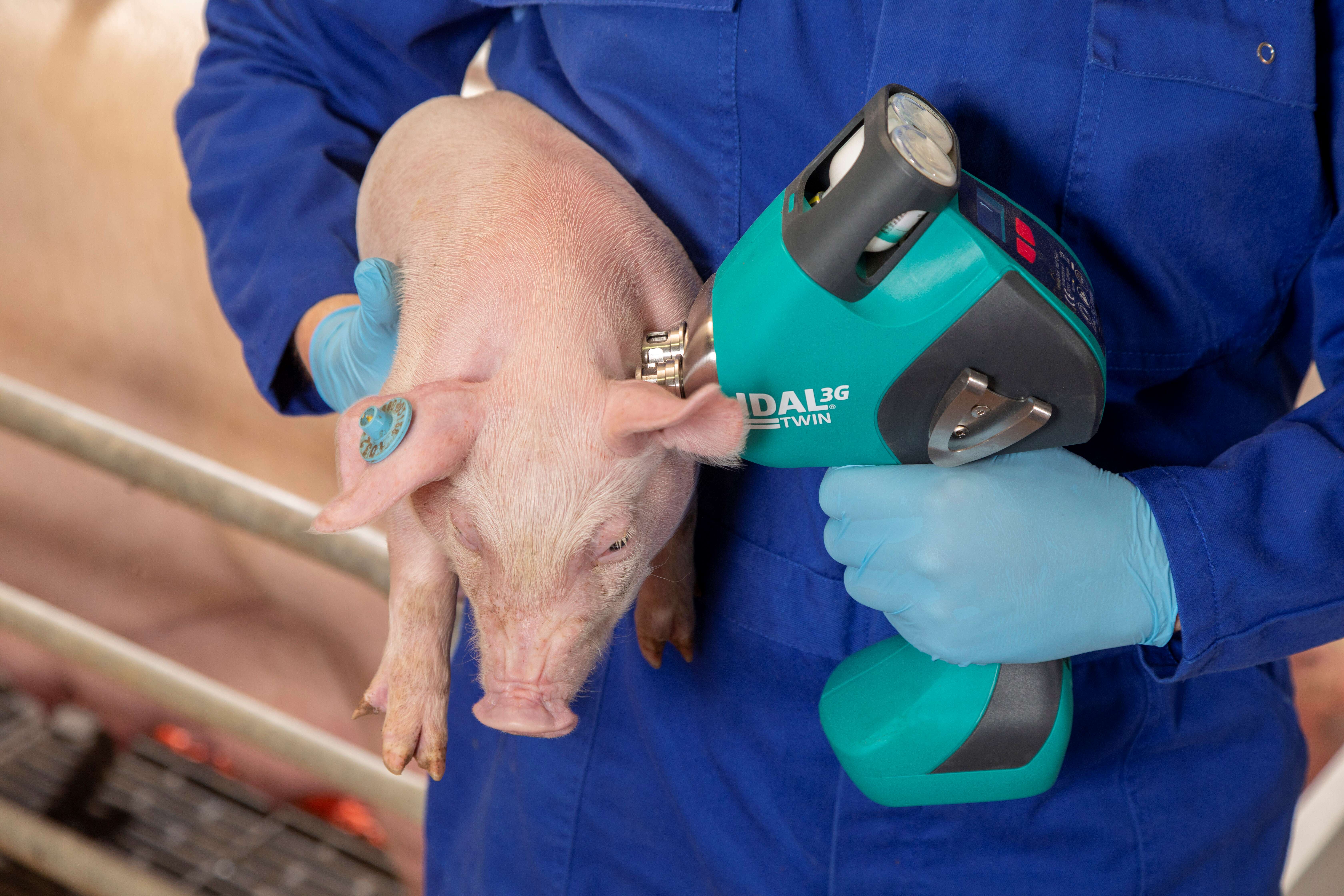 MSD Pressefoto IDAL 3G Twin