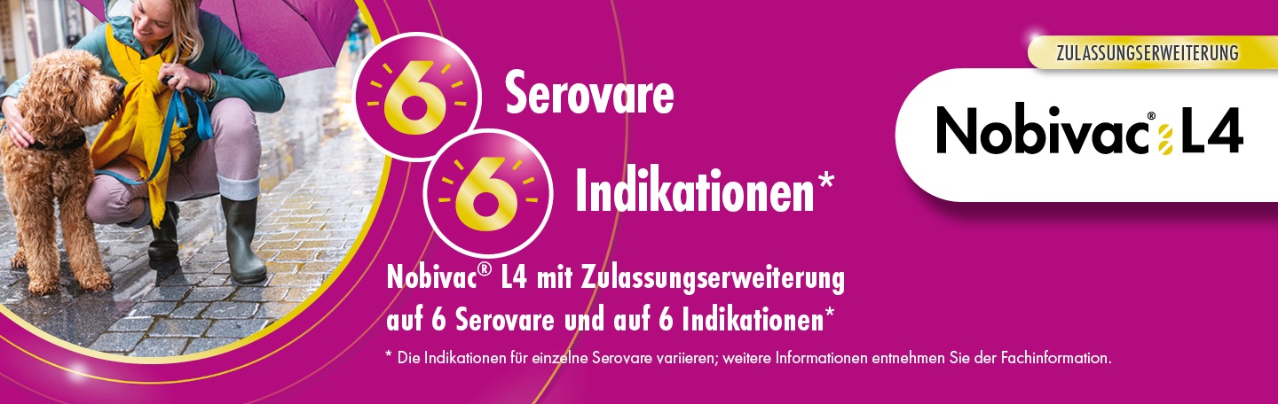 Live-Webinar: Leptospirose beim Hund – ein Update