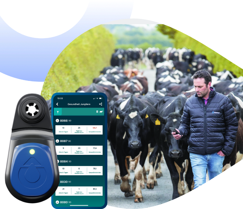 Collage mit einem Landwirt, der ein Smartphone vor einer Kuhherde nutzt, einem SenseHub-Ohrsensor und einer App-Anzeige mit Gesundheitsdaten für Jungtiere.