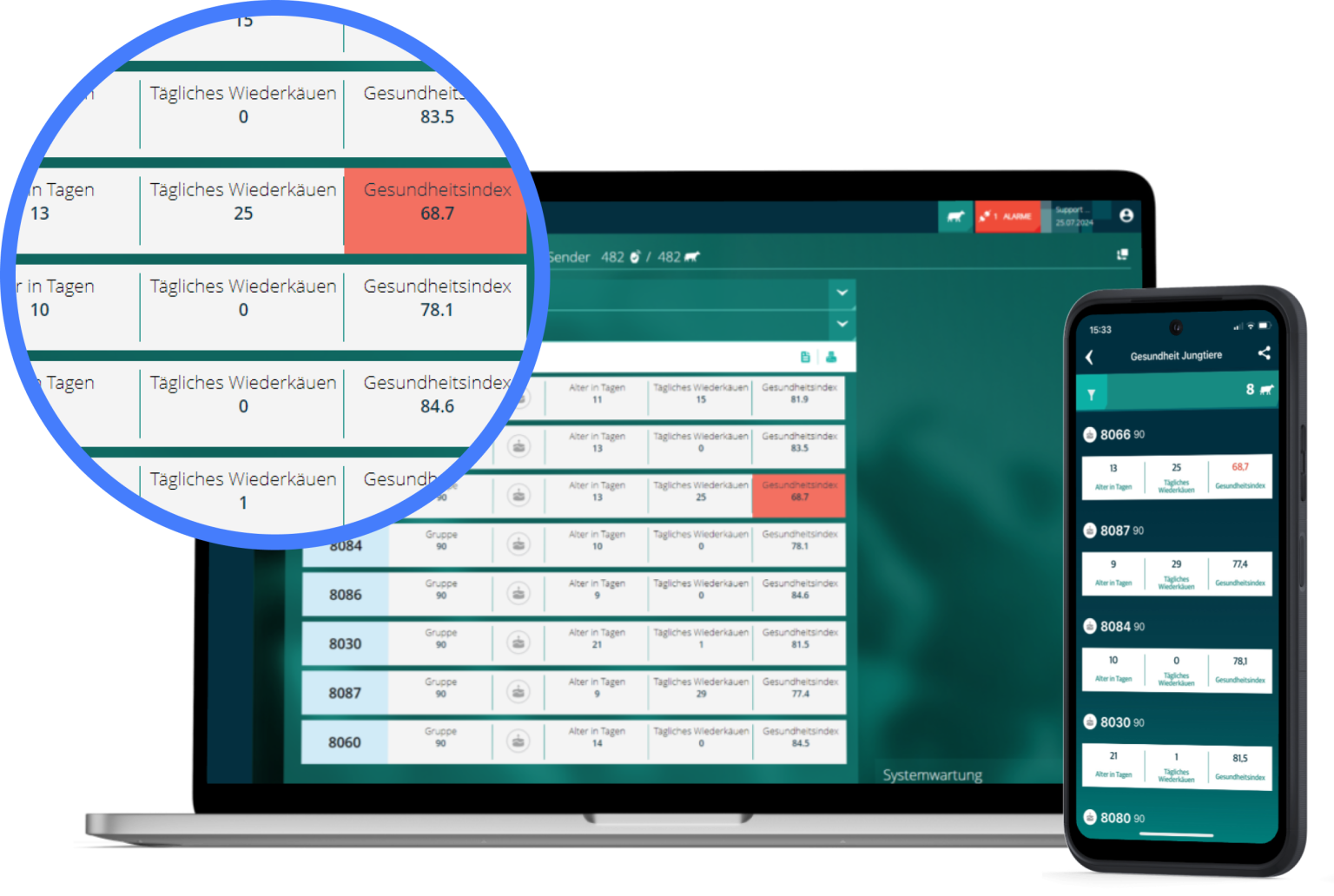 Eine Laptop- und Smartphone-Anzeige mit einer Dashboard-Oberfläche für Gesundheitsdaten von Nutztieren, inklusive einer vergrößerten Detailansicht.