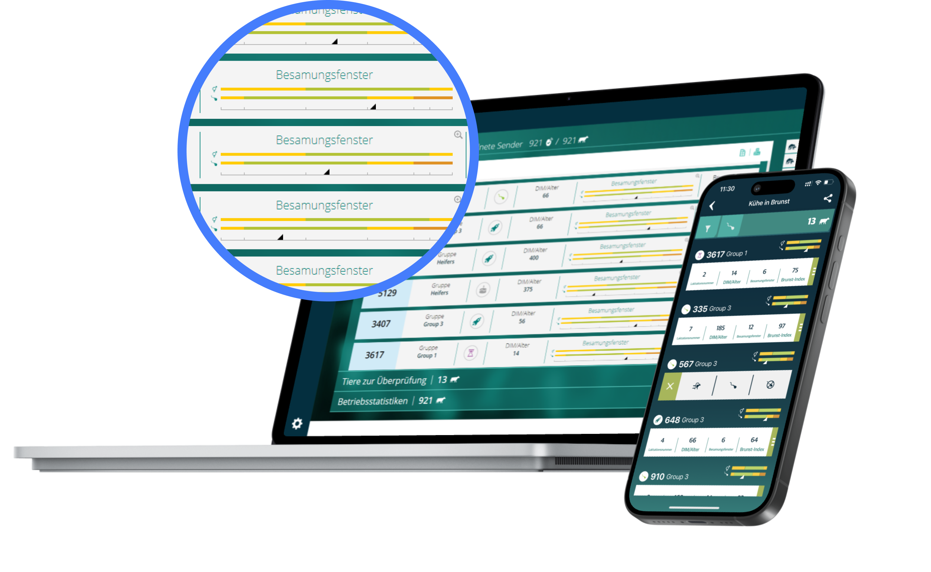 Laptop und Smartphone zeigen eine Management-Software für Milchviehbetriebe mit Fokus auf Besamungsfenster und Brunstdaten.
