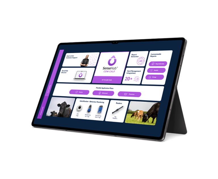 SenseHub Cow Calf auf einem Tablet-Bildschirm