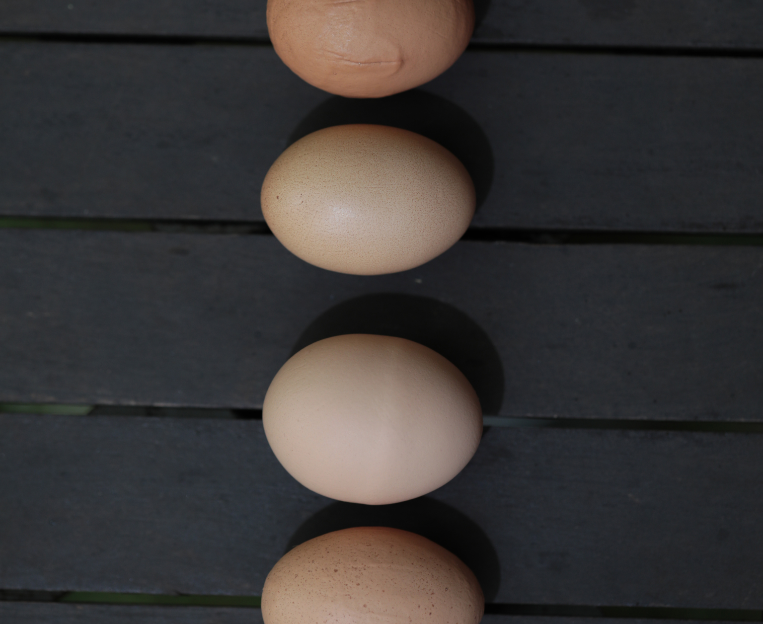 Nahaufnahme von vier braunen Eiern, die vertikal auf einer dunklen Holzoberfläche aufgereiht sind.
