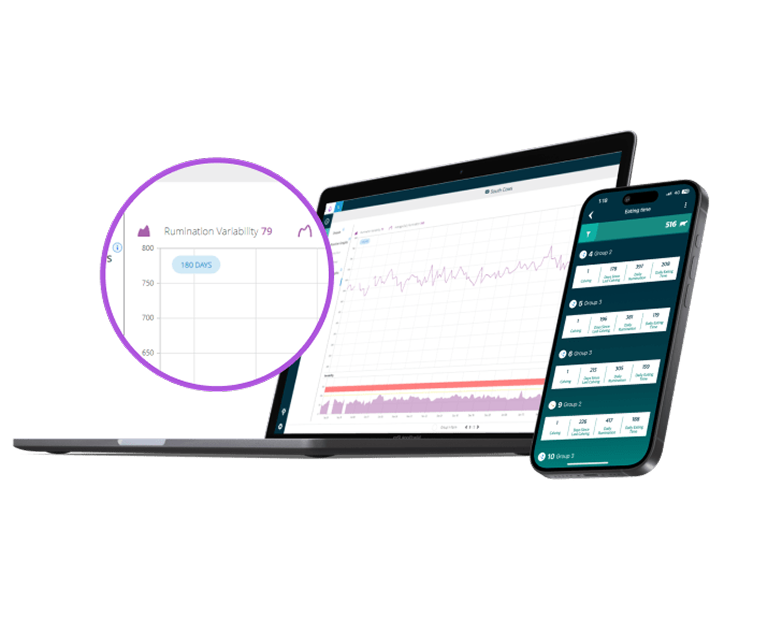 SenseHub Analyse auf Laptop und Smartphone mit Diagrammdaten