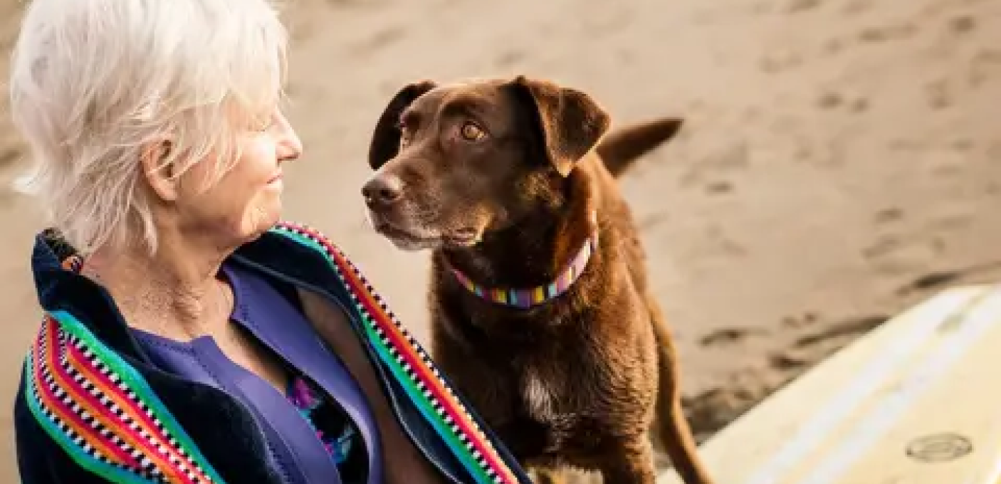 Frau mit braunem Hund am Strand Eine ältere Frau mit hellen Haaren schaut liebevoll ihren braunen Hund an, während beide gemeinsam Zeit an einem sandigen Strand verbringen.